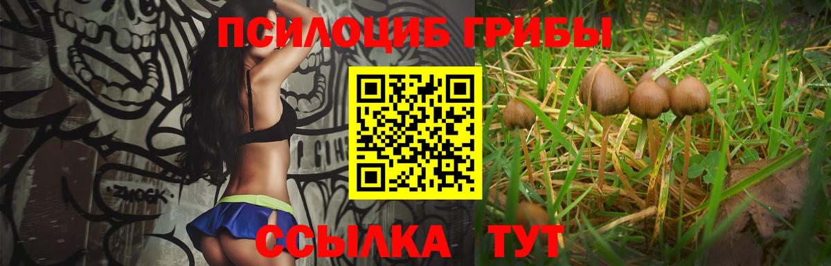 Галлюциногенные грибы GOLDEN TEACHER Долгопрудный